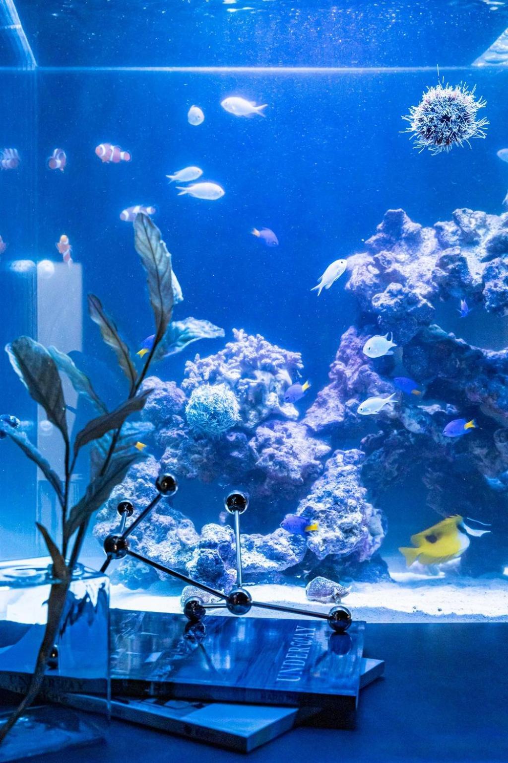 大阪Japavista Aqua别墅 外观 照片